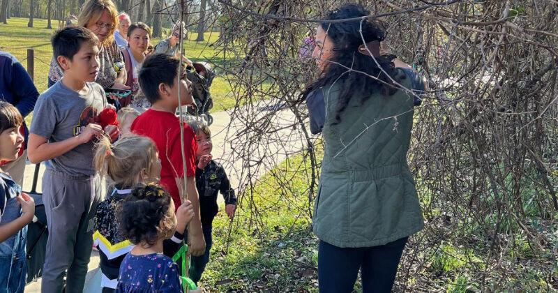 Park Pals Outdoor Survival Summer Camp this month | Local News ...