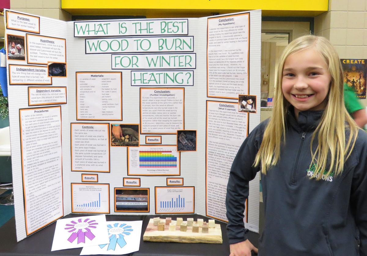 Sixth-graders show off their projects at science fair ...