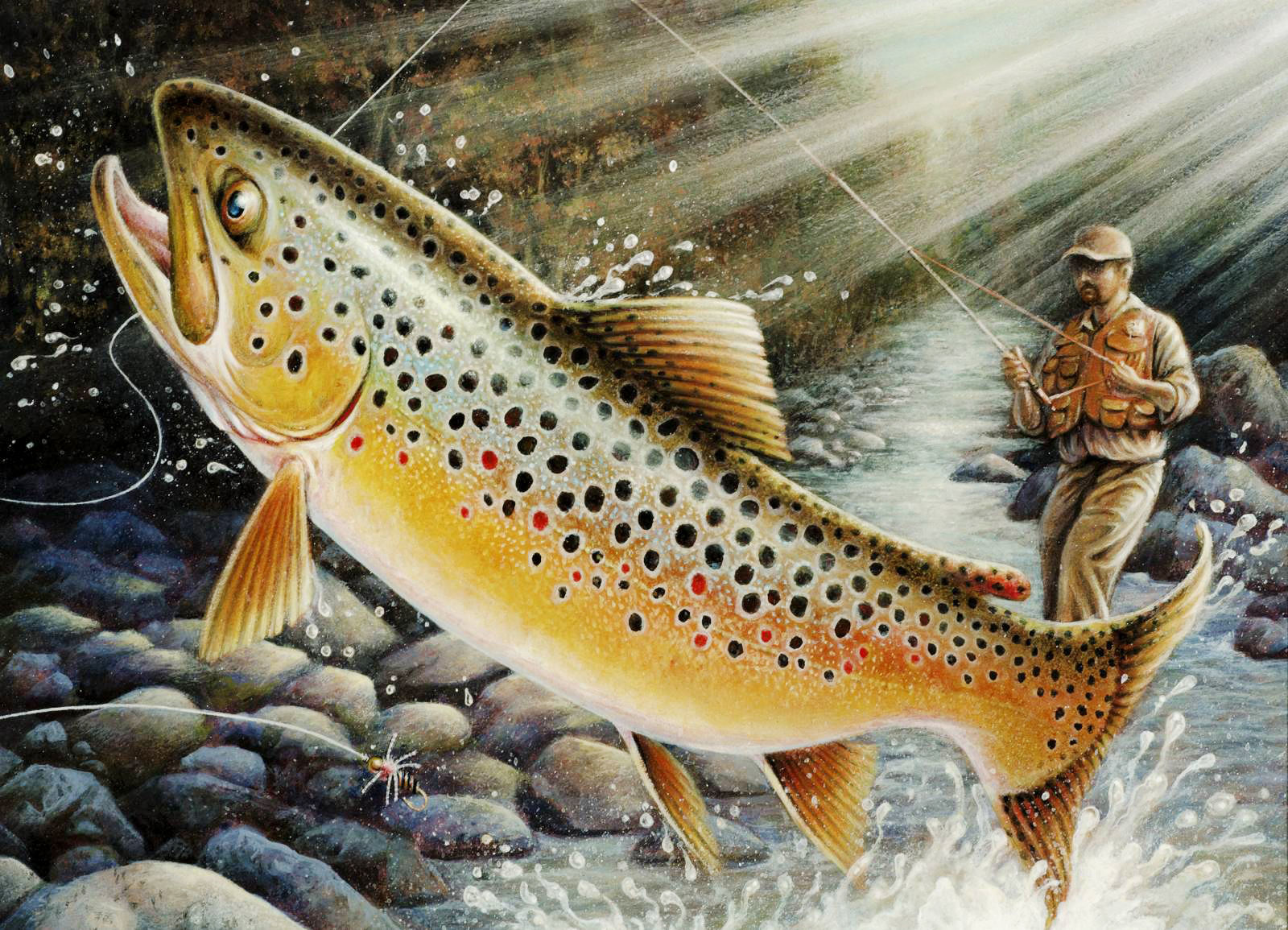 DNR seeks artwork for Minnesota Trout and Salmon Stamp