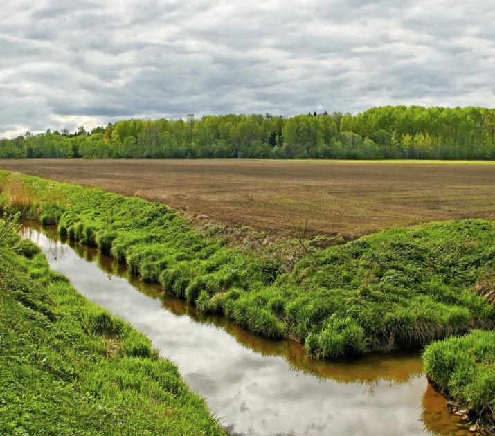 Clarifying murky US water rules | Local - Crow River Media