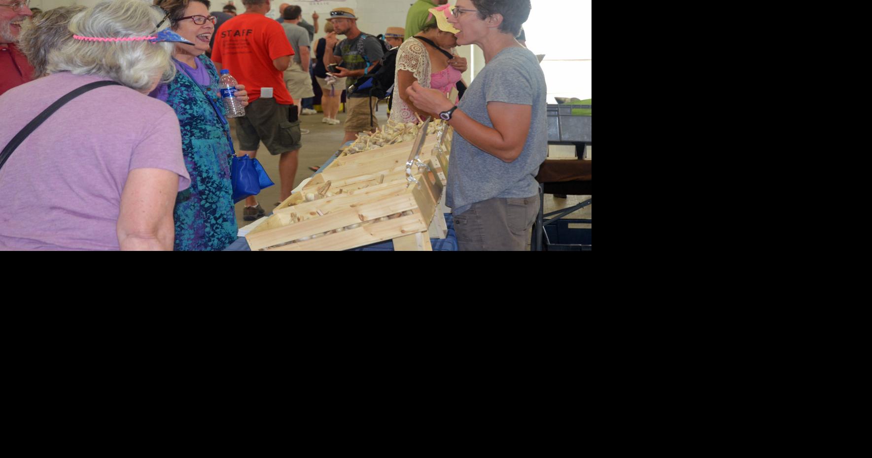 Extension project studies impact of Minnesota Garlic Festival in