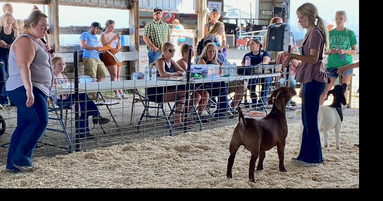 Meeker County Fair 4H ribbon winners announced Local