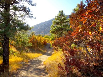 Hitting the trail at Cheyenne Mountain State Park, 10/20/21.