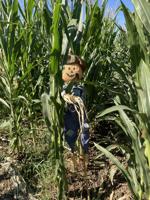The Signal's Guide to Local Corn Mazes and Pumpkin Patches