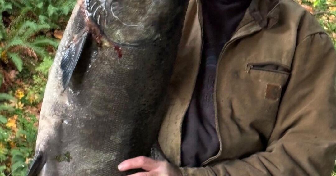 69f9221974b64.image.jpg?crop=1080,567,0,