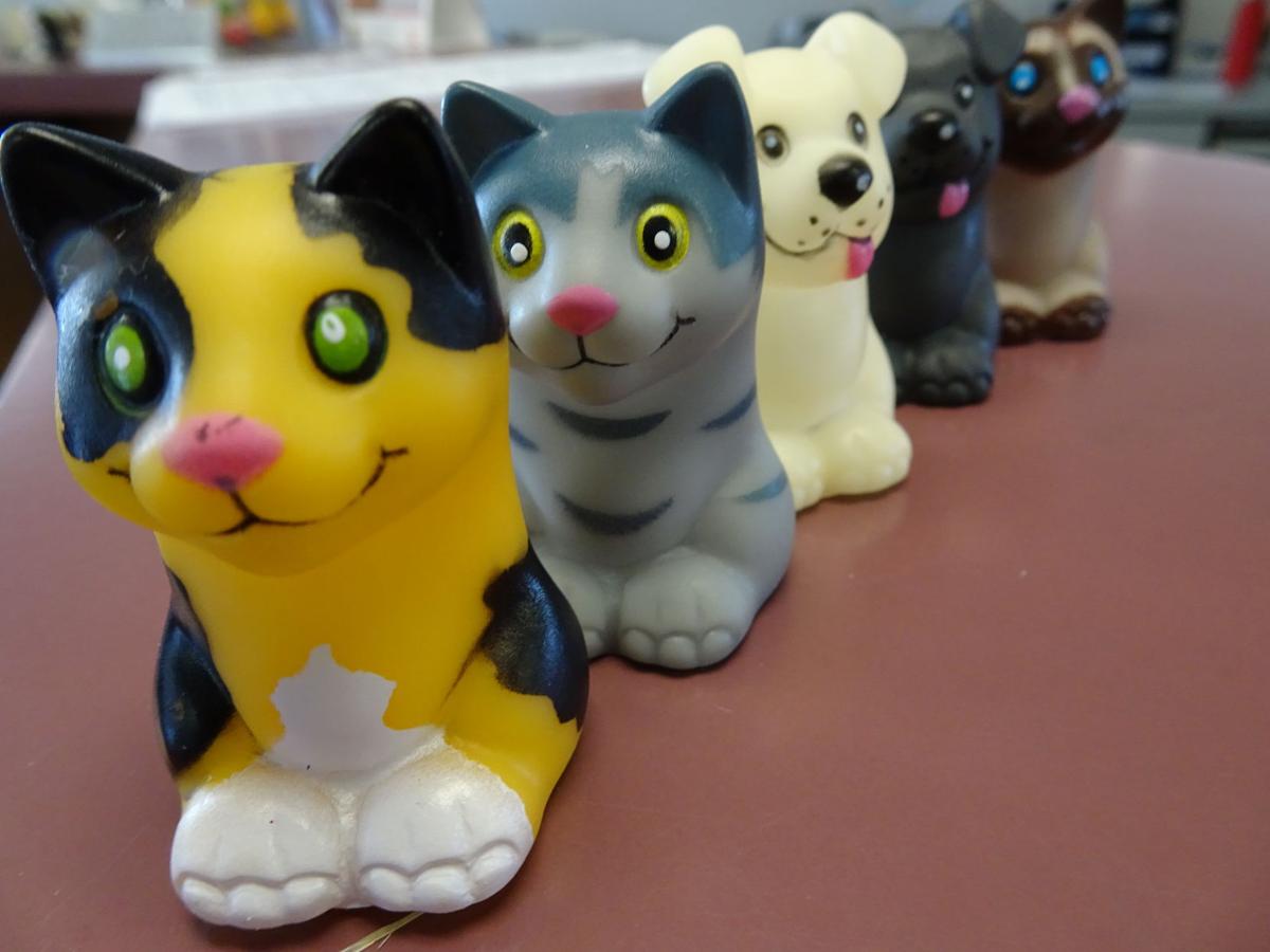 Raining Cats Dogs Fundraiser Adoption Underway Community
