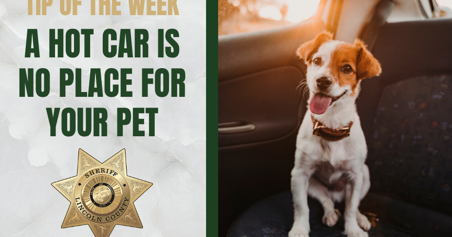 Sheriff's Tip of the Week: A hot car is no place for your pet