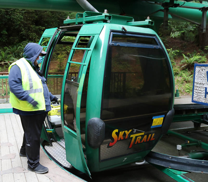 Redwood Canopy Trail now open at Trees of Mystery News Paid