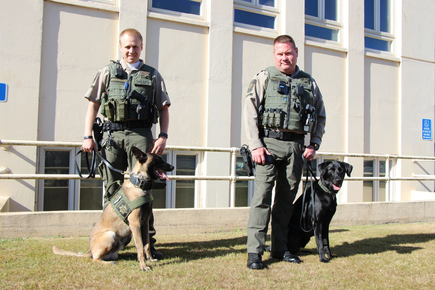 Sheriff Adds New K9 Units | News Paid | Currypilot.com