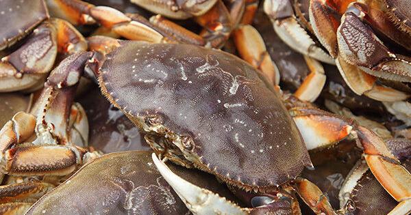 A new era for Oregon Seafood starts now