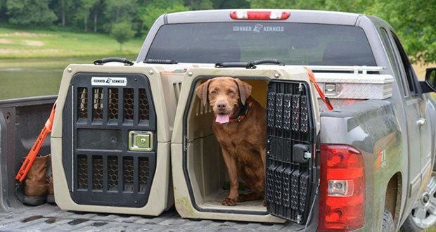 dog carrier truck