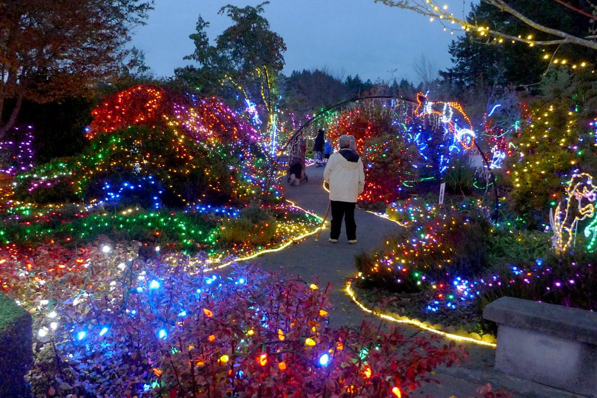 Christmas 2 million lights in Azalea Park for 2019 Community