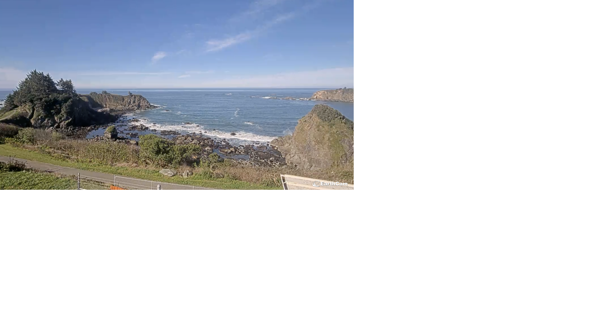 69cc309928cc8.image.png?crop=1960,1029,2