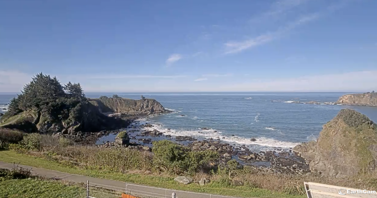 69cc309928cc8.image.png?crop=1960,1029,2