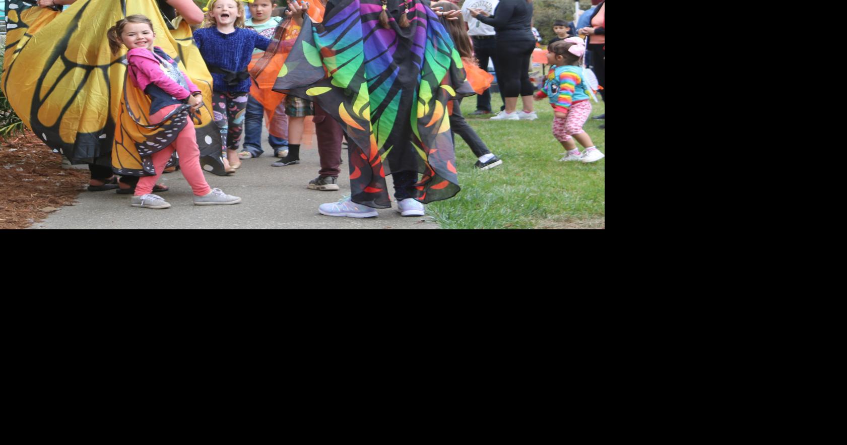 Photos / Butterflies: All smiles, excitement at butterfly fest ...