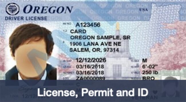 BMV: Licenses, Permits, & IDs: Driver's License