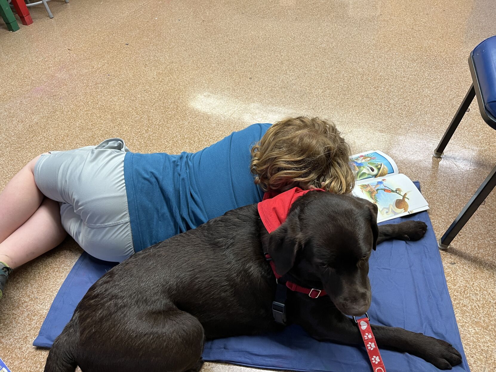 Therapy Dog Teams Bring Smiles and Joy to Gold Beach | News ...