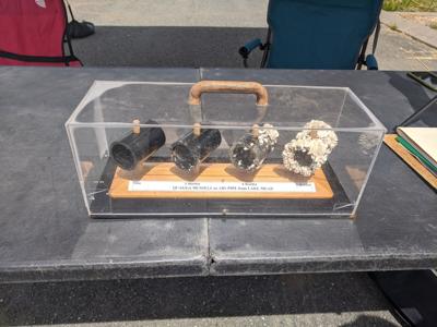 A display of quagga and zebra mussel specimens