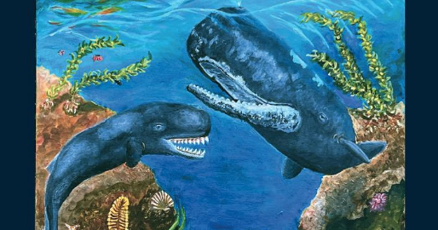 6a3d8c574ee07.image.png?crop=514%2C270%2
