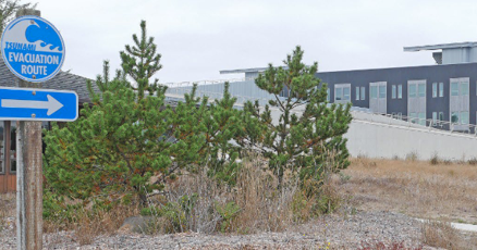 6a8f3ebb40087.image.png?crop=571%2C300%2