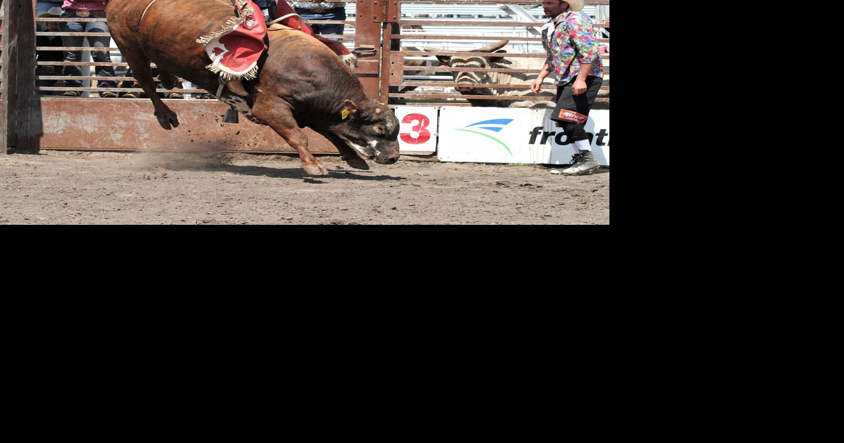 Area kids compete at Madison High School Rodeo | Sports ...