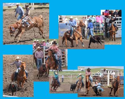 Ulverstone Rodeo Three days of rodeo wraps up regular season | Sports ...