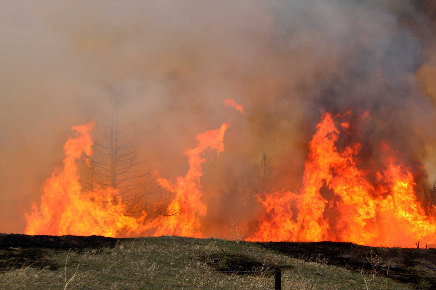 Nebraska State Forester Urges Fire Safety During High-risk Conditions ...