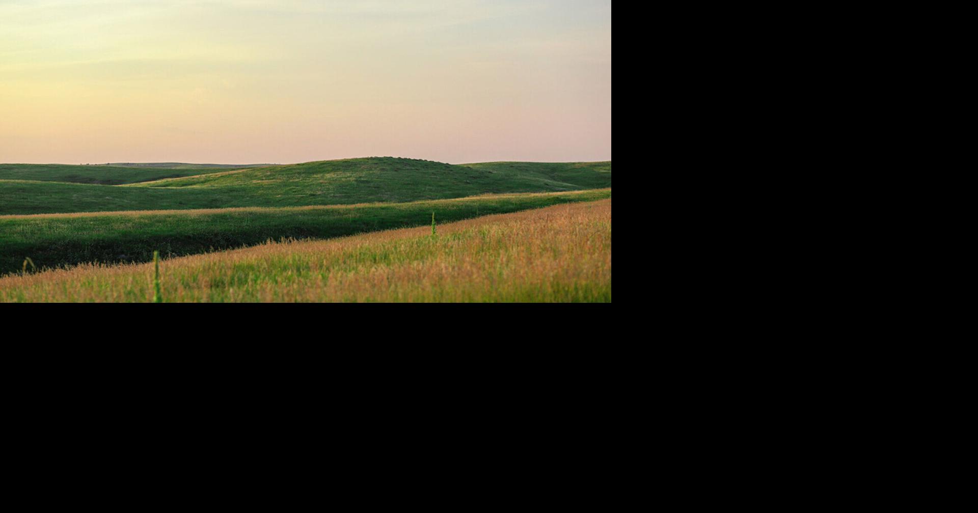 Nebraska Extension webinar to address wildlife recovery for rangeland and pastureland