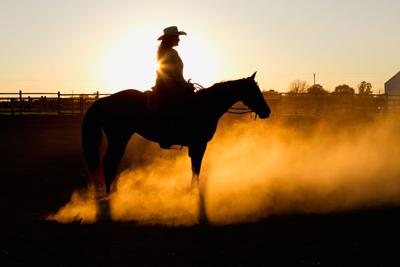 Cowgirl horse dust