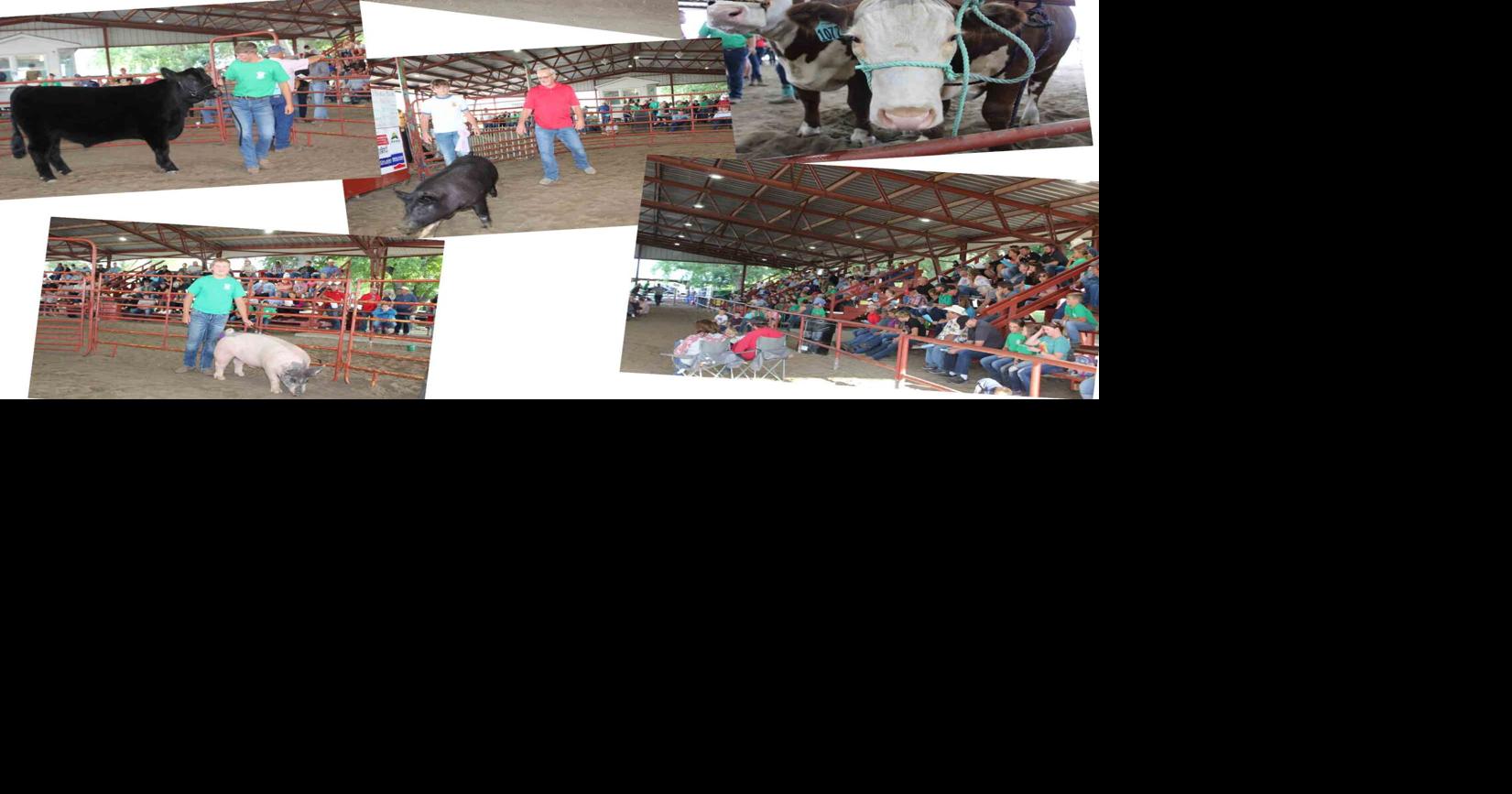 SCHEDULE 2021 Custer County Fair, Thursday, Aug. 5 News