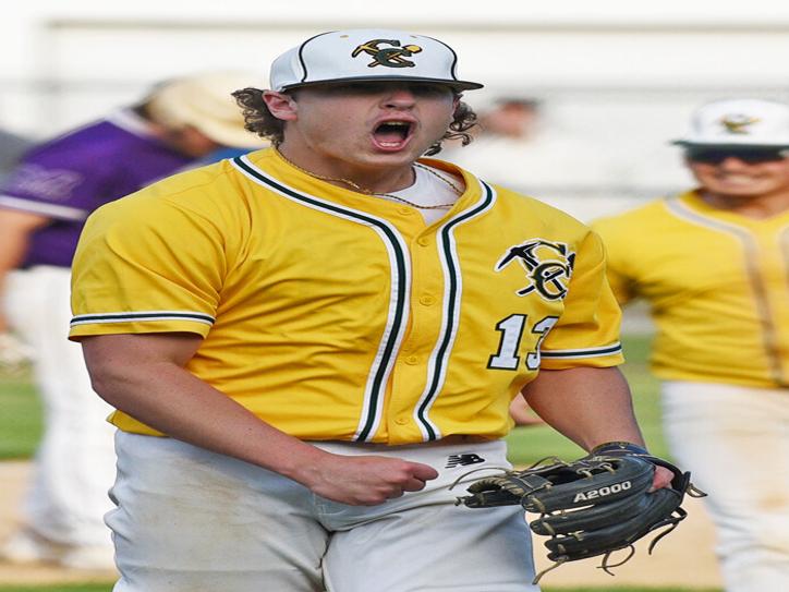 BASEBALL: Coal City's Wills named Daily Journal Player of the Year, Sports