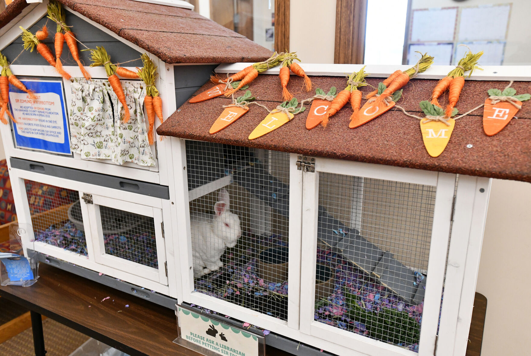 Library bunny helps educate kids Local News daily journal