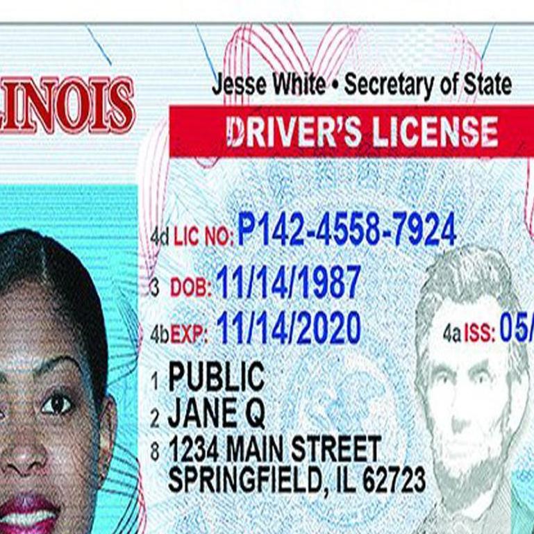 Driver's licenses in the United States - Wikipedia