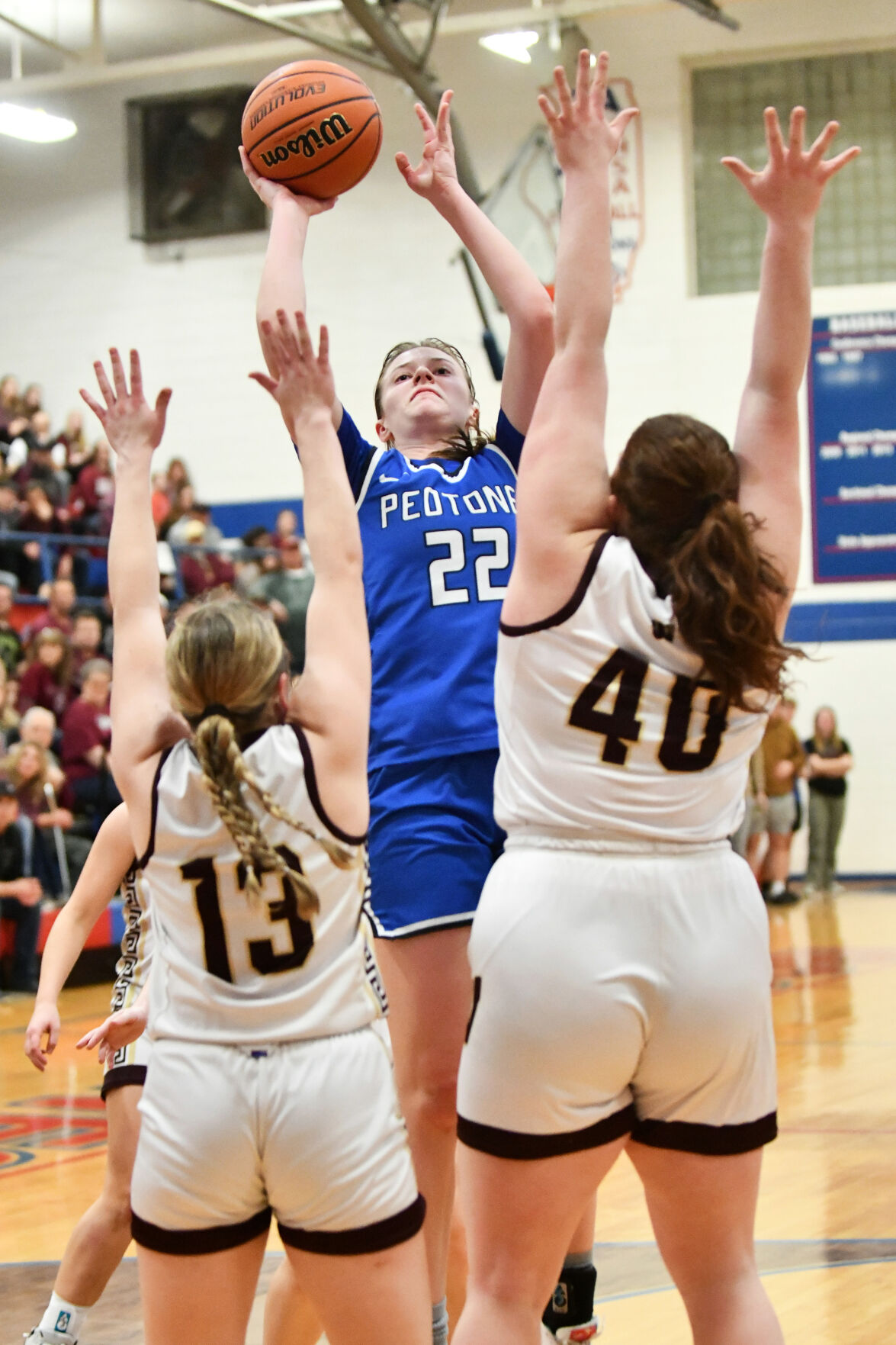 GIRLS BASKETBALL Peotone s Schroeder first team Mac s Davis