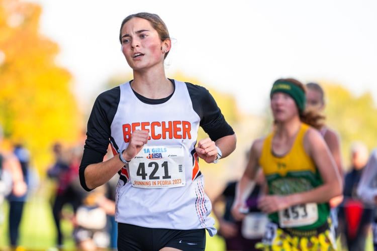 GALLERY IHSA State Cross Country Galleries