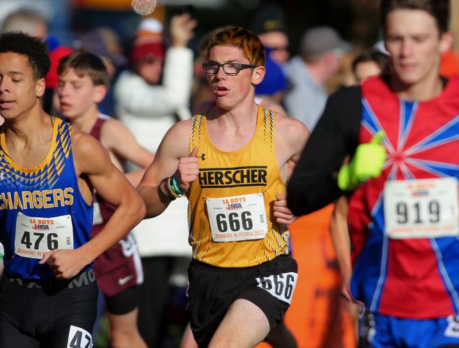 GALLERY IHSA State Cross Country Galleries