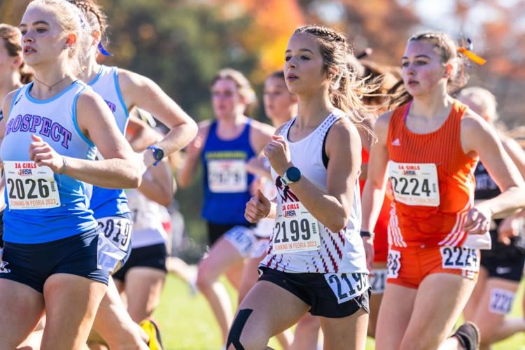 GALLERY IHSA State Cross Country Galleries