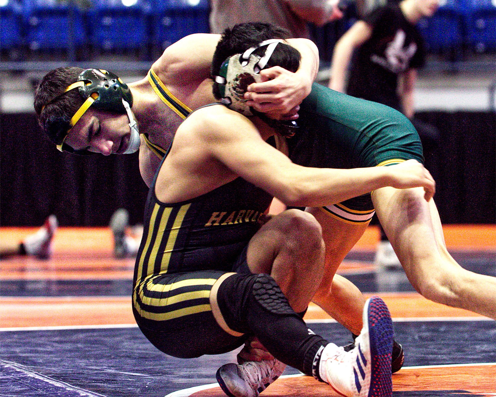 WRESTLING: Coal City Squanders Early Lead To Dakota To Take Second In ...