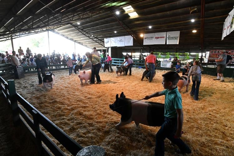 Kankakee County Fair Local News