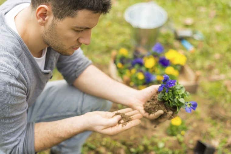 Hiring A Landscape Contractor Home And Garden Daily
