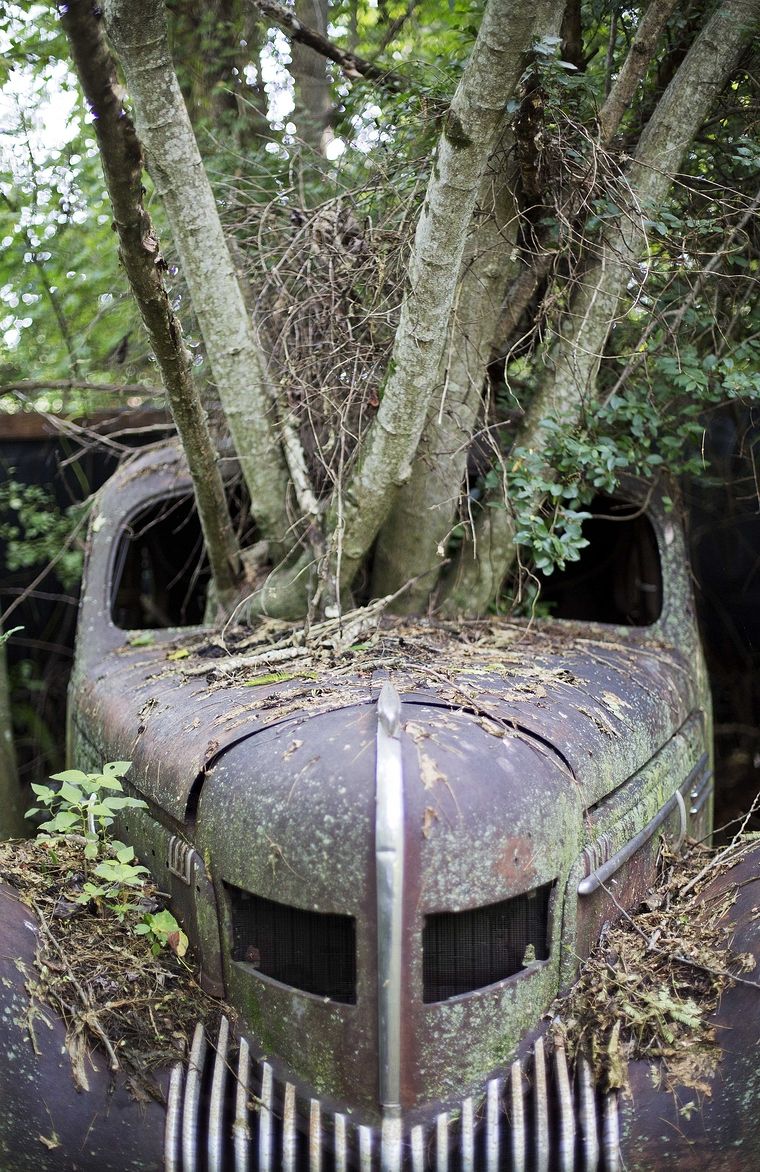 In rural Georgia, a junkyard of classic cars | National News | daily