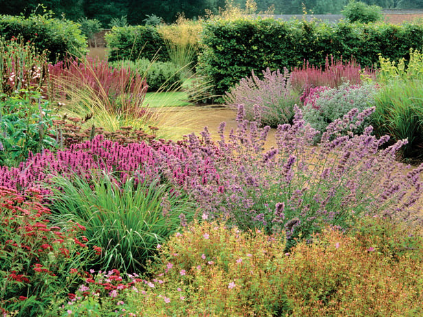 Prairie gardens work in spaces large and small | Life | daily-journal.com