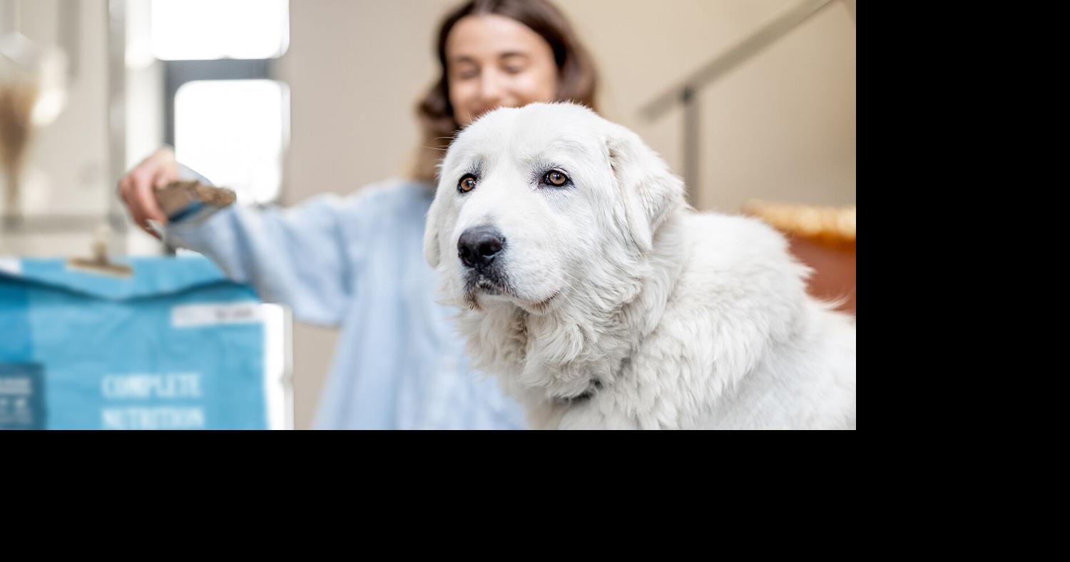 Pet pantries could use food donations News