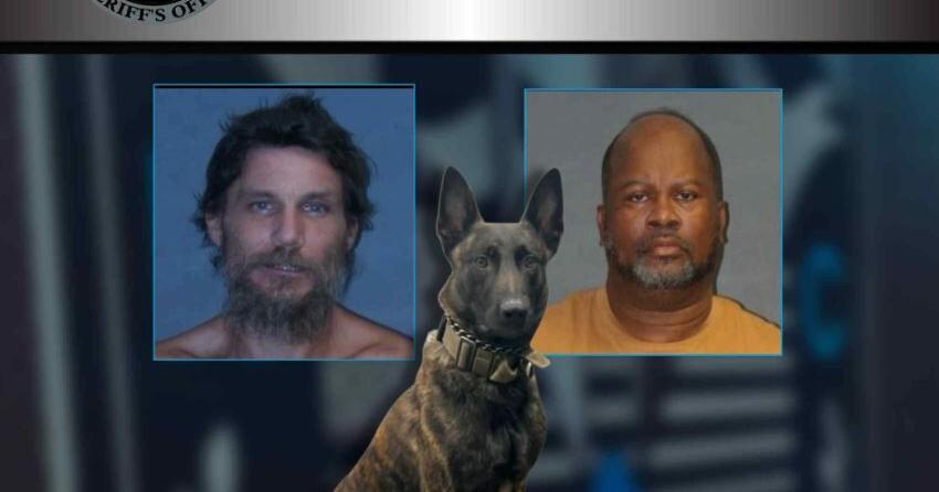 2 arrested after K9 alerts to narcotics | Local News | dailyadvance.com