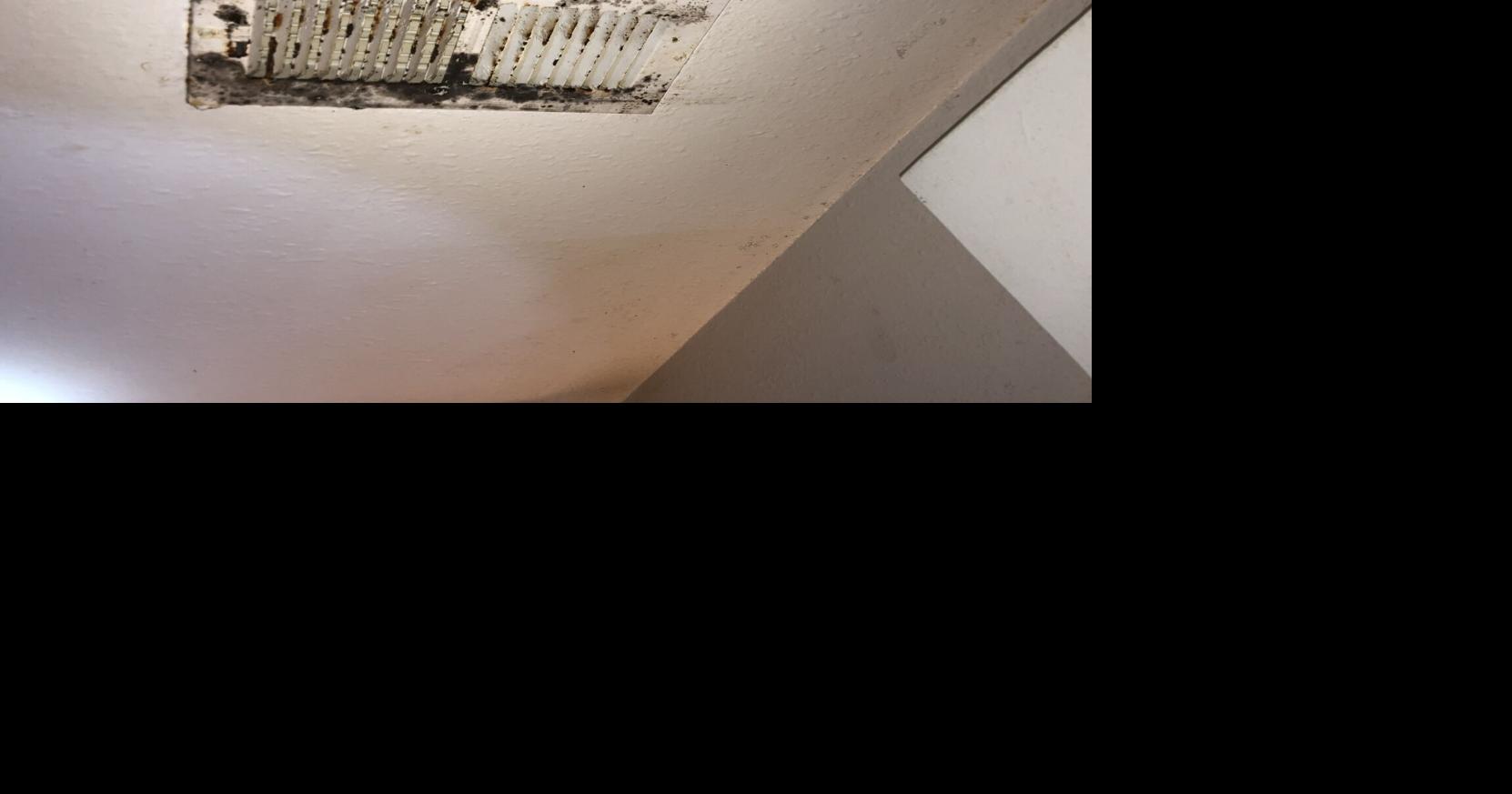 Apartment owners with mold problems may be in violation of state law