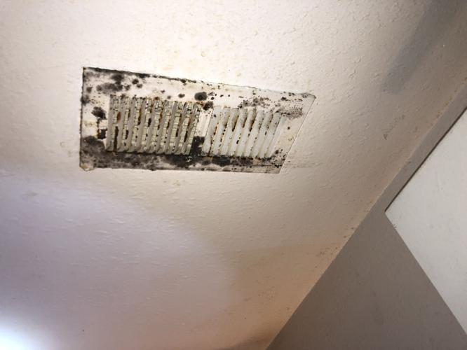 City Apartment complex owners must address mold Local News