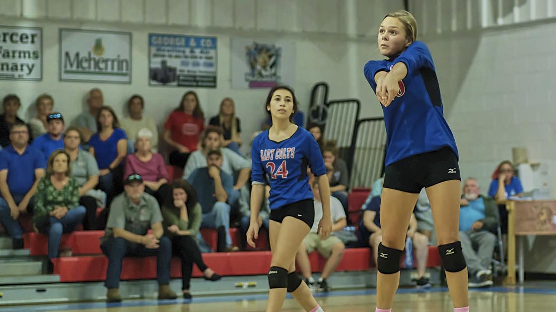 Albemarle School Tops Cape Fear Christian Academy Advances To Ncisaa 1a Volleyball State Championship Game High Schools Dailyadvancecom