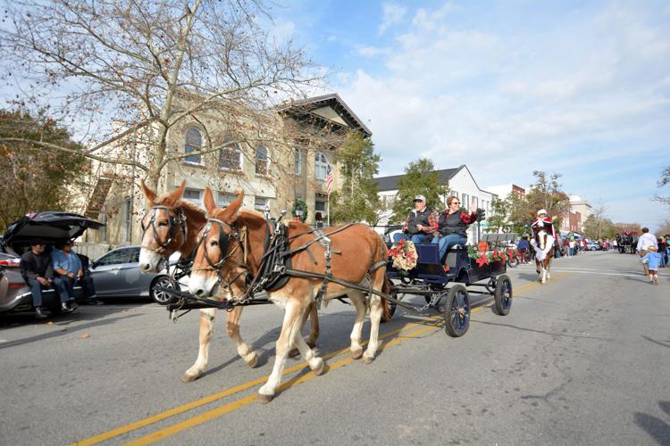 Edenton Christmas Parade Photo Galleries