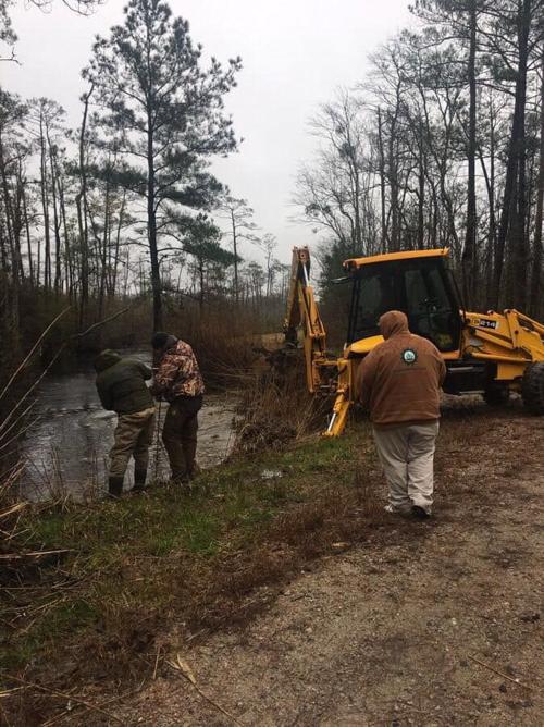 Drainage canals cleared