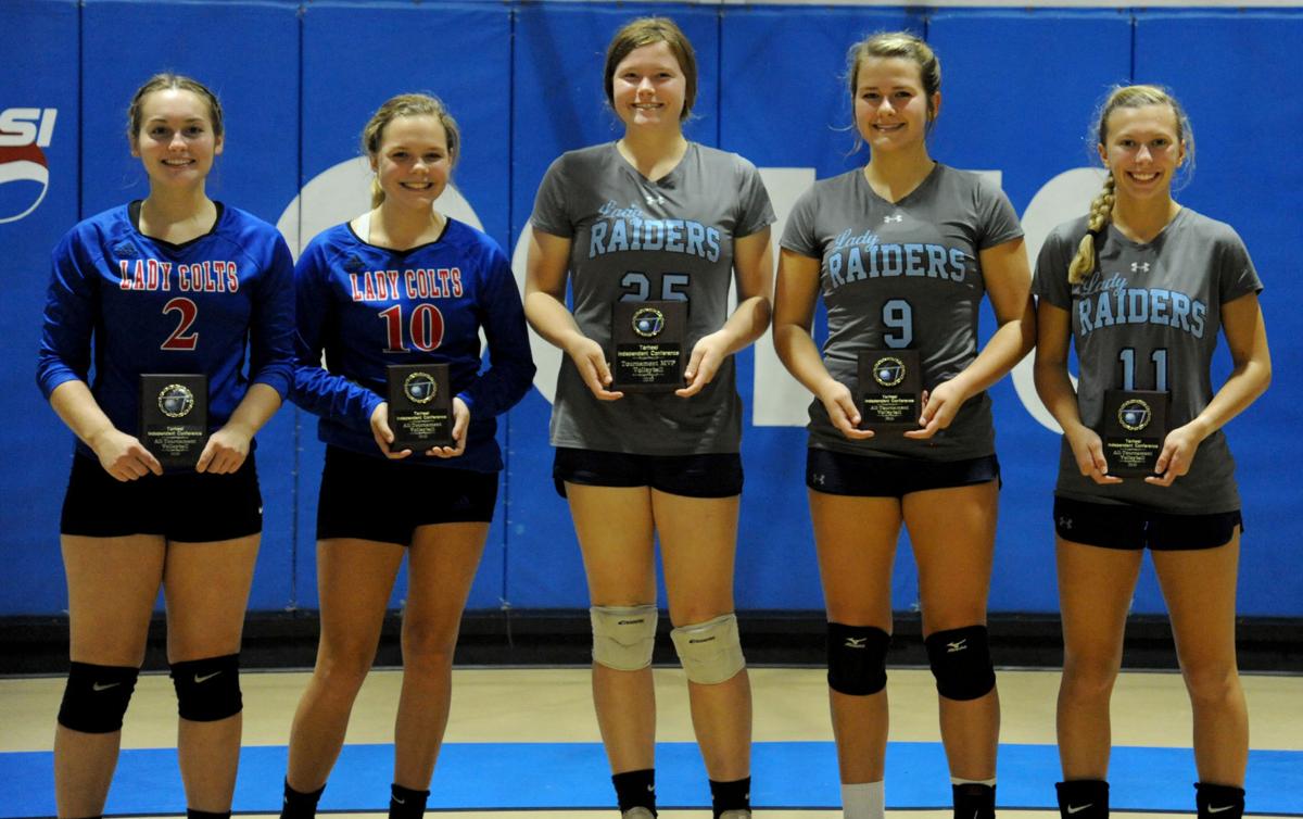 101520_eda_tic_all_tournament_team_volleyball.jpg